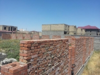 1003601_971950006205260_3010416319633876402_n (1).jpg