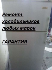 436605338_1_1000x700_remont-holodilnikov-lyubyh-marok-garantiya-odessa.jpg